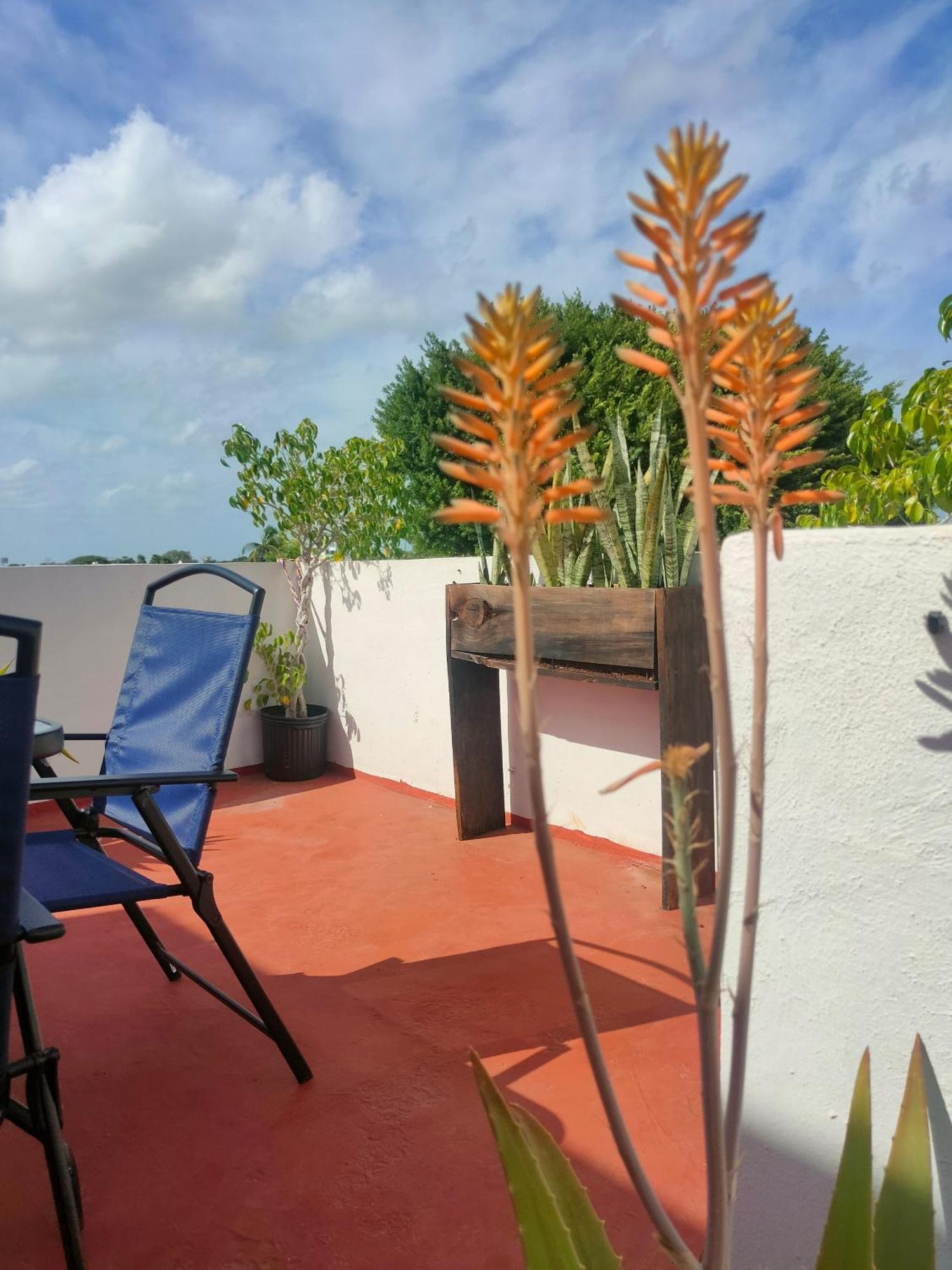 Casa Coraza Apartment Cancún Exterior foto