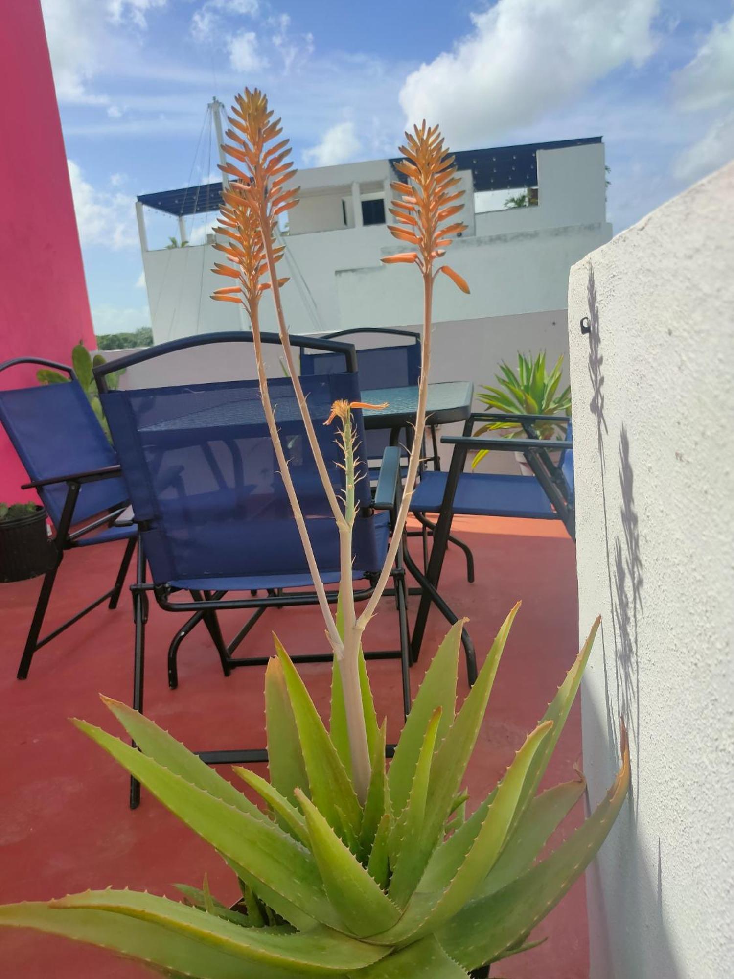 Casa Coraza Apartment Cancún Exterior foto