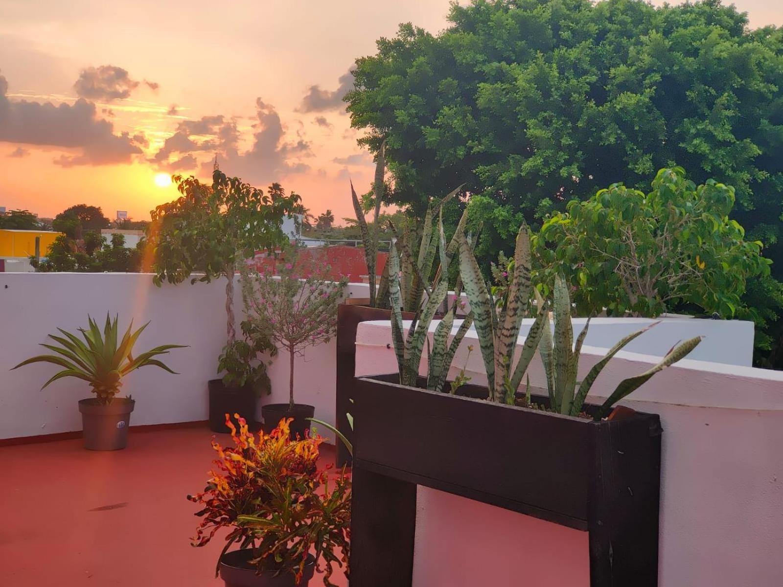 Casa Coraza Apartment Cancún Exterior foto